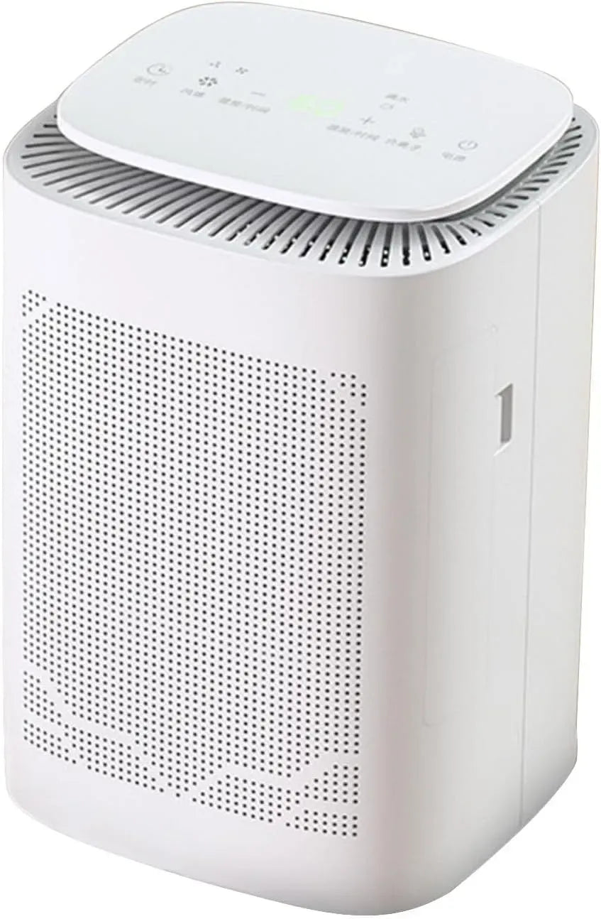 Deumidificatore, portatile, ampio serbatoio, deumidificatore ambiente, Piccoli Deumidificatore Casa