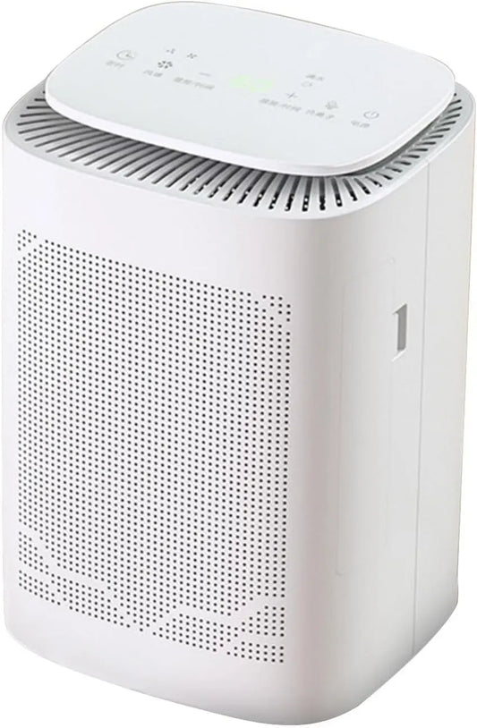 Deumidificatore, portatile, ampio serbatoio, deumidificatore ambiente, Piccoli Deumidificatore Casa